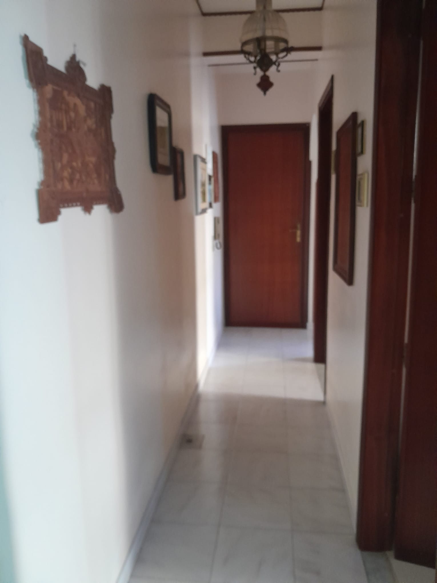 WhatsApp Image 2025-12-12 at 19.01.40