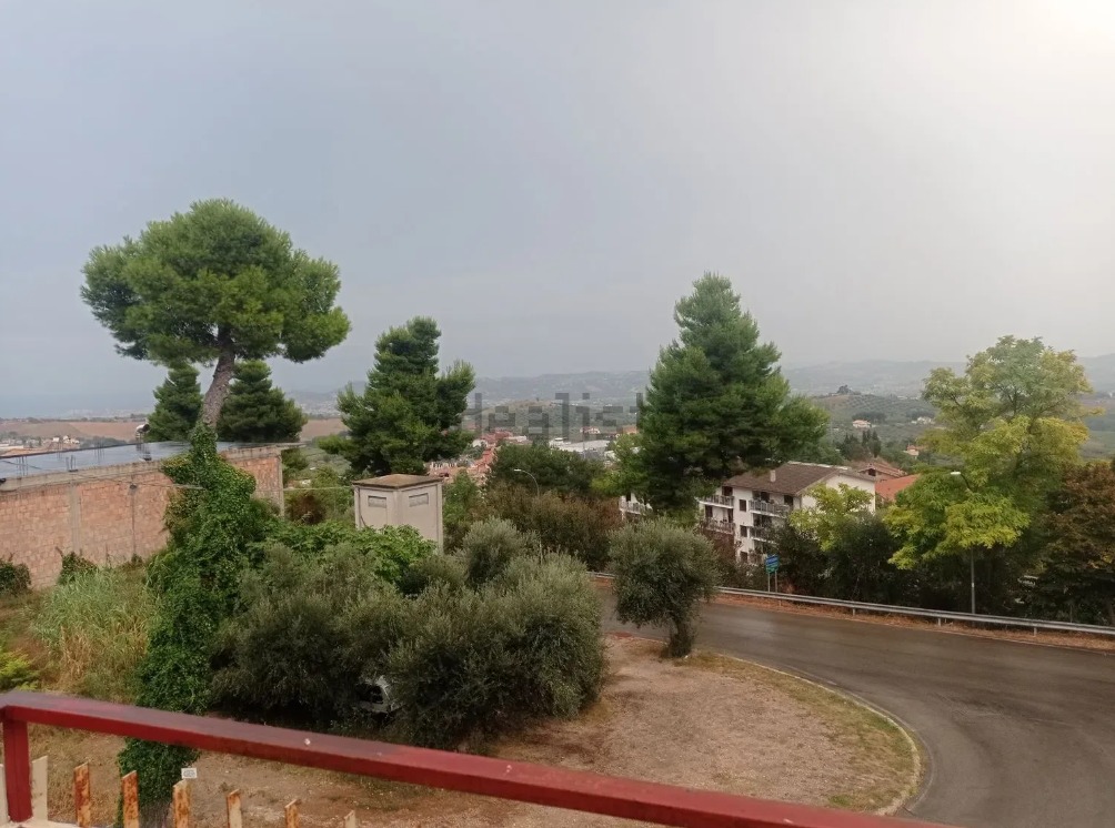 WhatsApp Image 2026-03-02 at 08.37.20