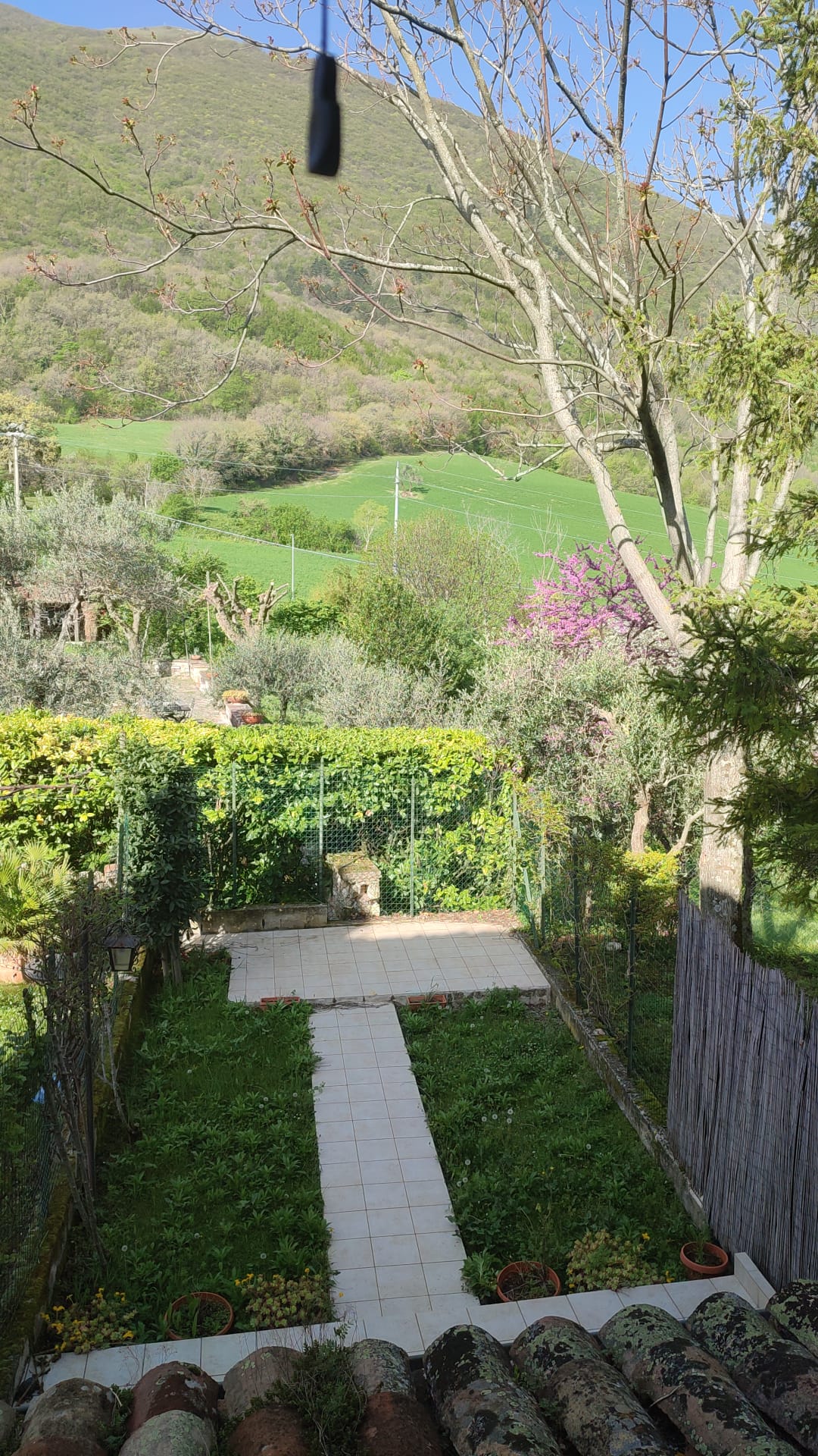 GIARDINO DALL’ALTO CON SOLE_01