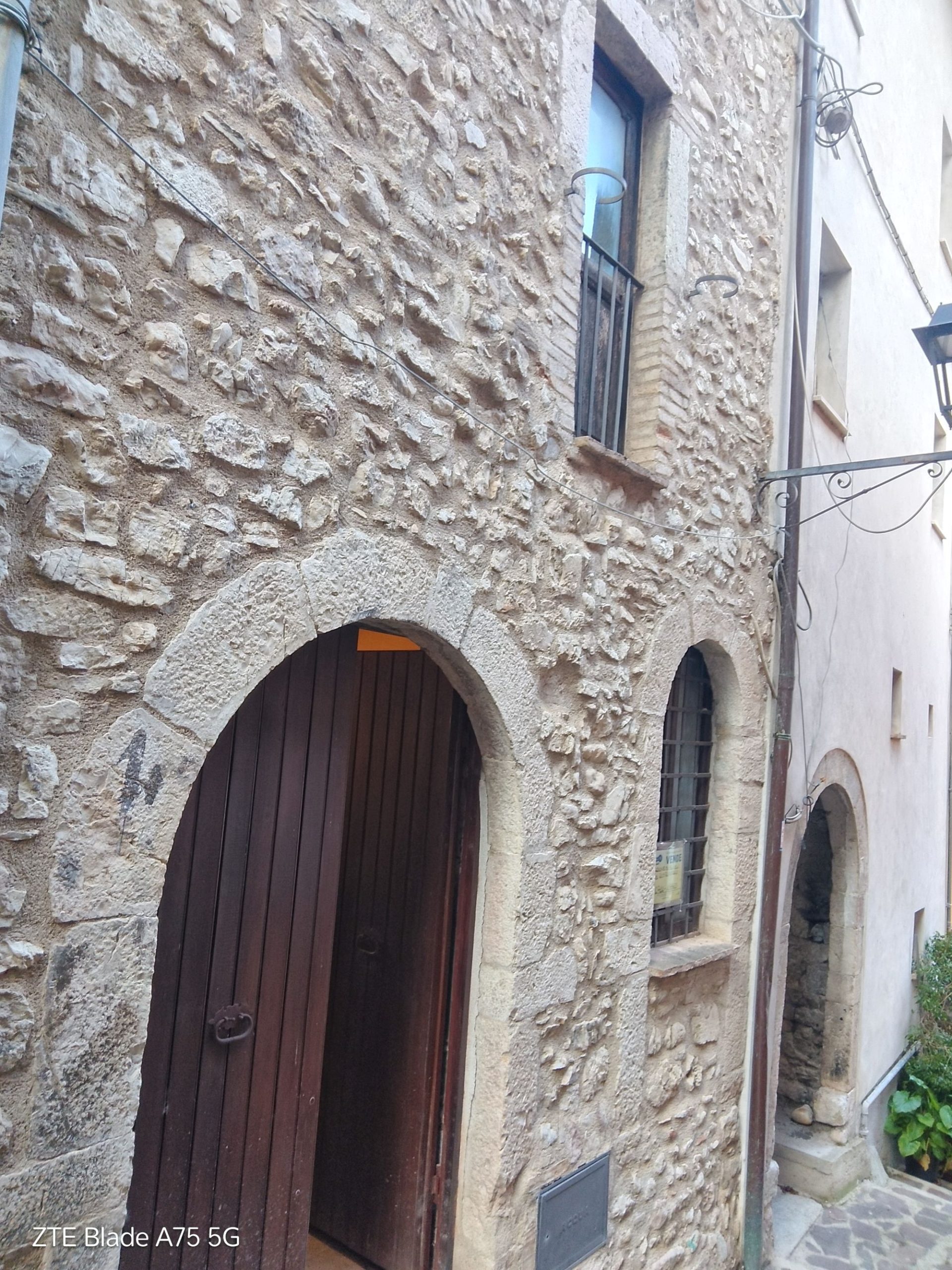 Montefrancorid