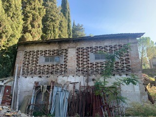 Foto9